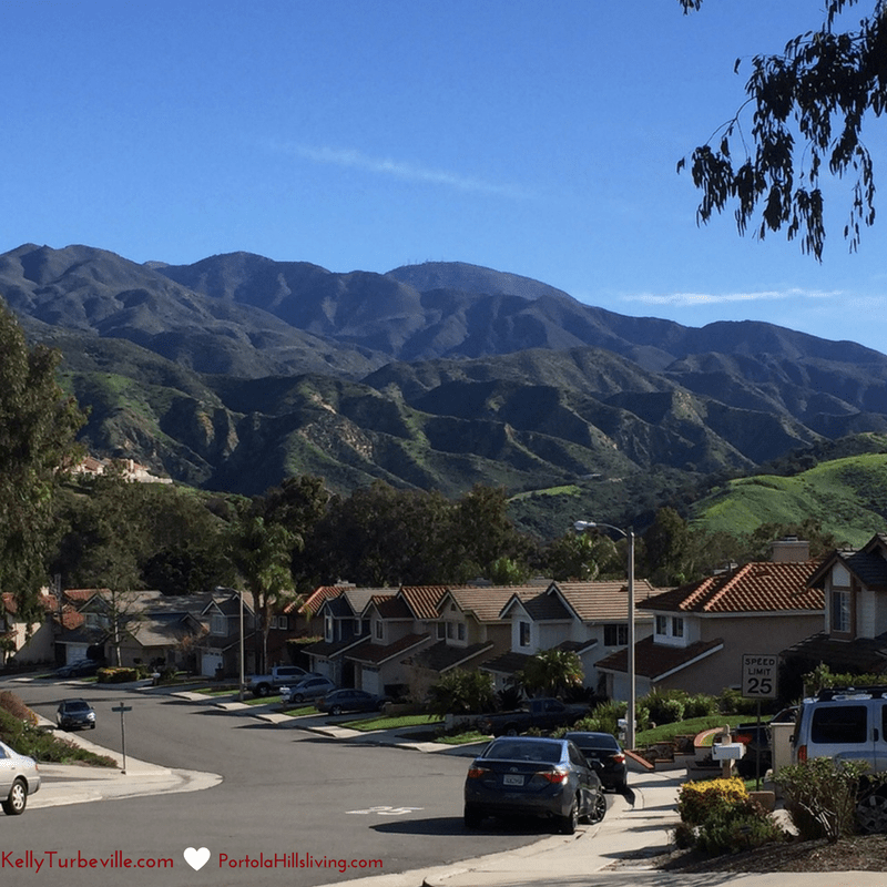 Wordless Wednesday... Portola Hills Natural Beauty